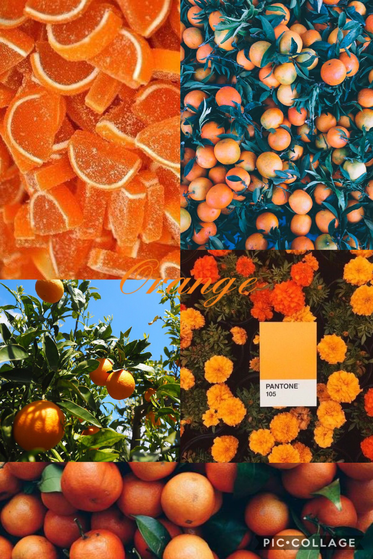 #oranges