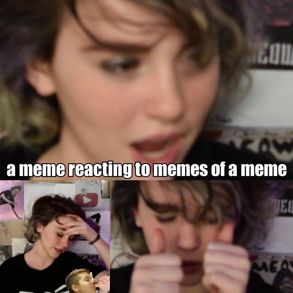 a meme reacting to memes of a meme 