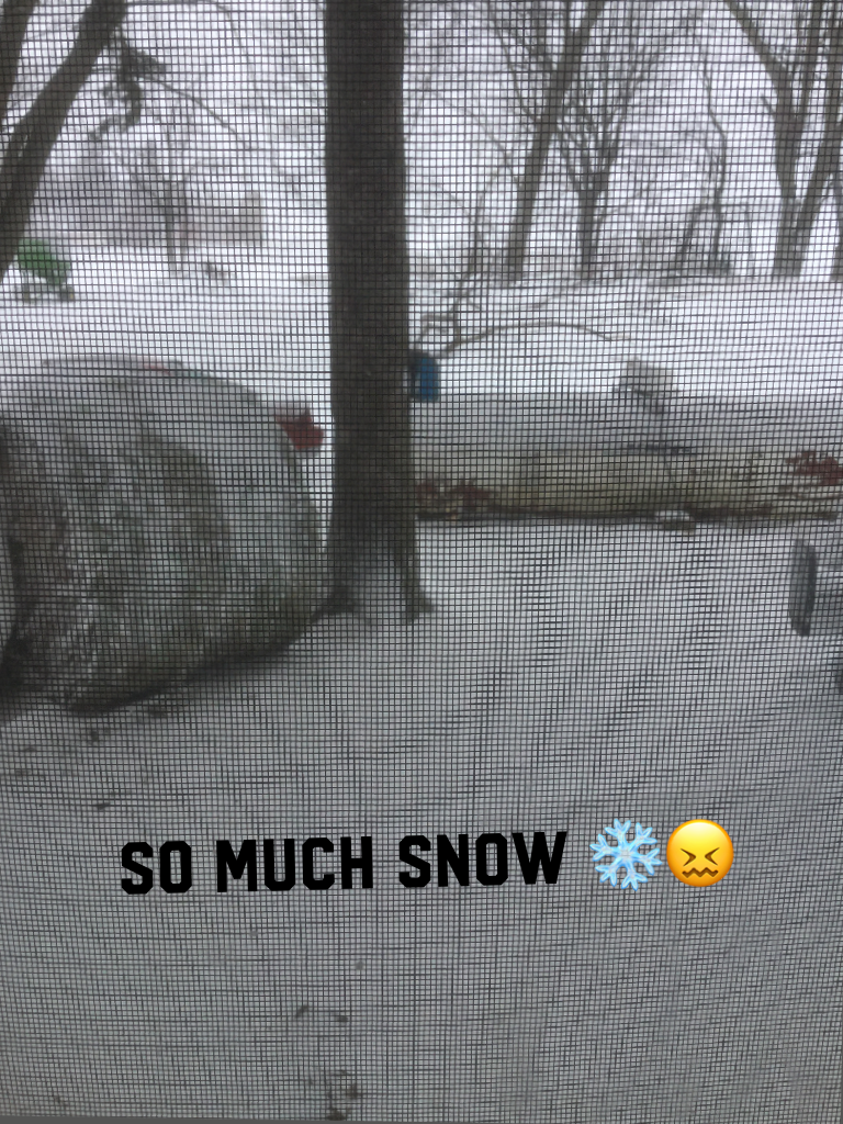 So much snow ❄️😖