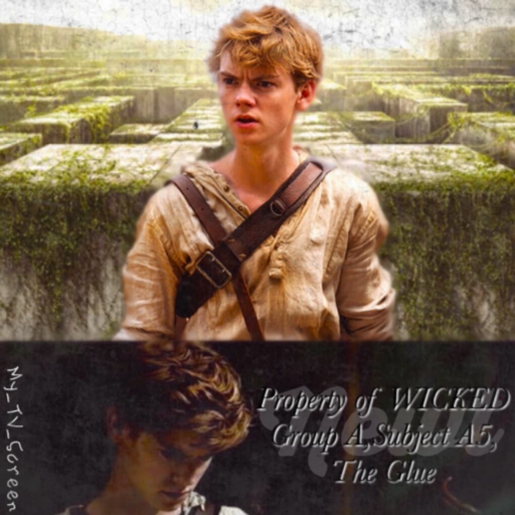 The Maze Runner #7 Click Here
Sorry for kinda abandoning my teen wolf edits, I just did a maze runner then really wanted to do the other characters, I'll go back to teen wolf after this, also had to post newt today because-NEWT DAY!!!!😊😄😏