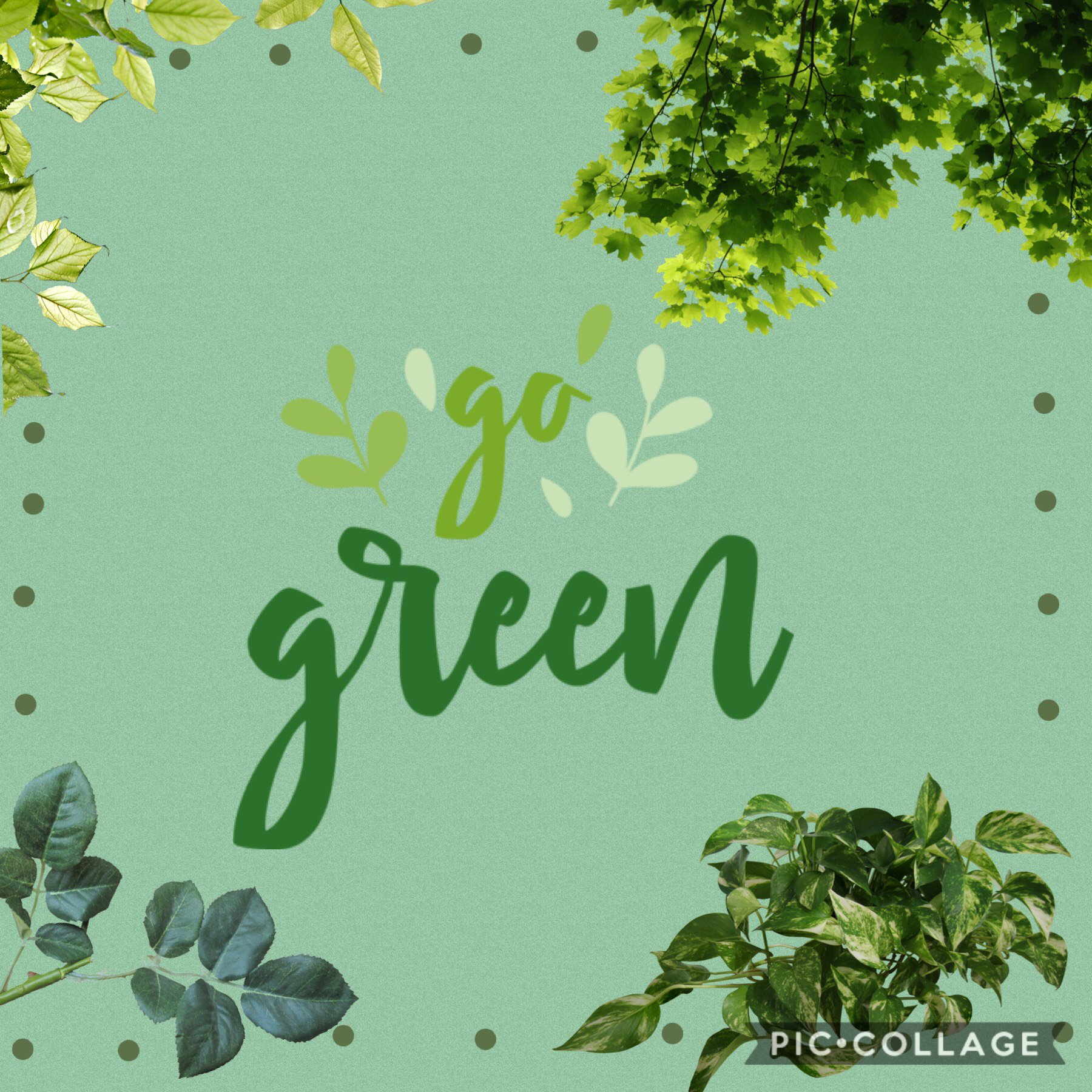 Hey everyone! I strongly believe that we should all help keep our Earth clean and safe for all. Here is my #savetheearth PicCollage! 💚🌱🌳