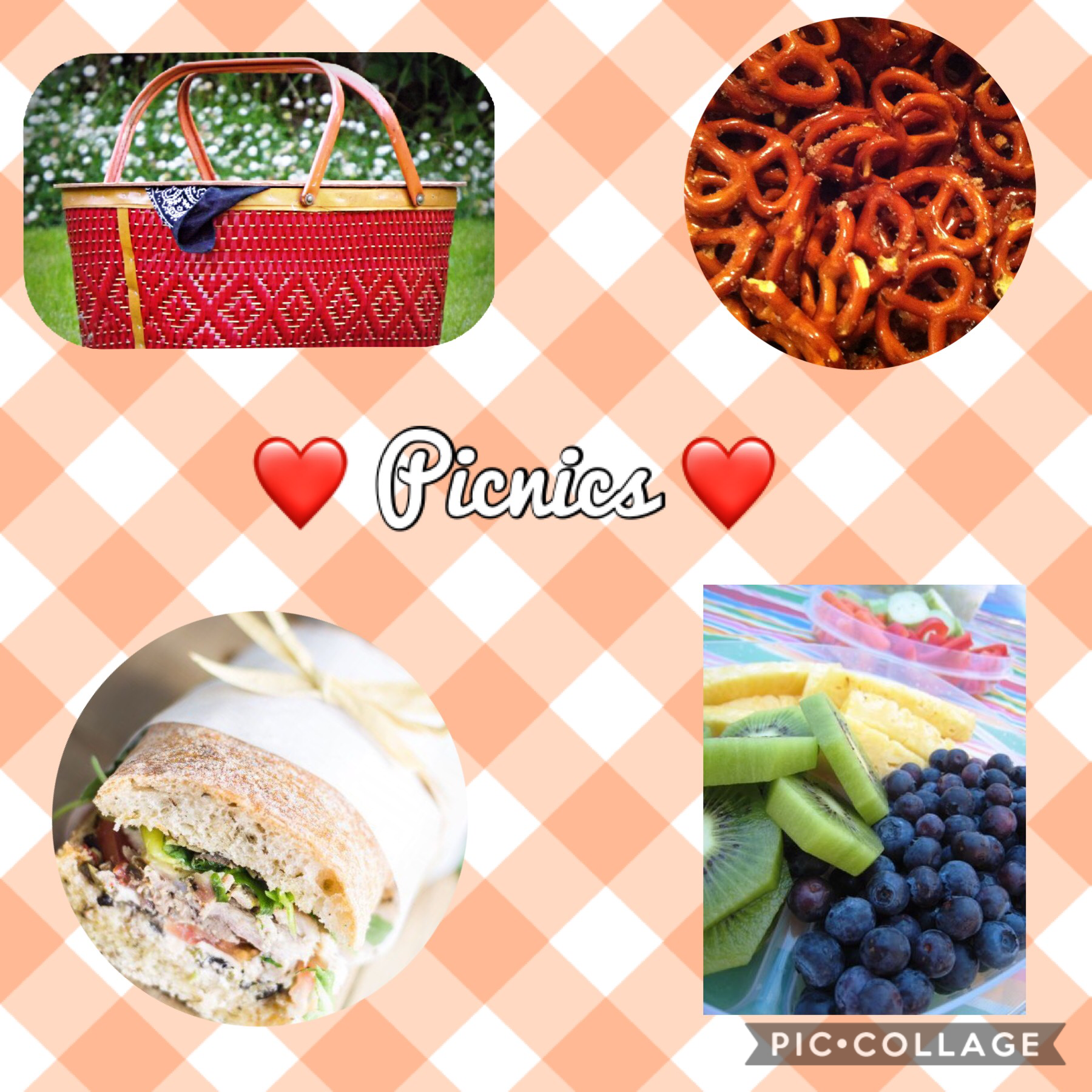 Have you ever been on a picnic? Leave a comment! 