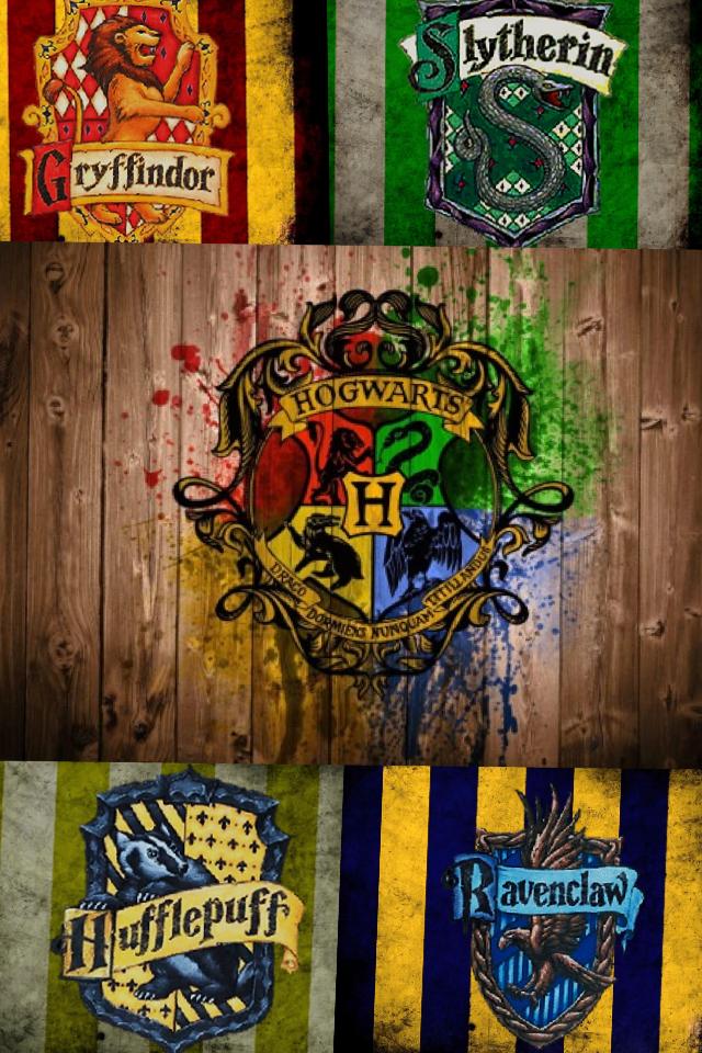 What house are you? ❤️💚💛💙