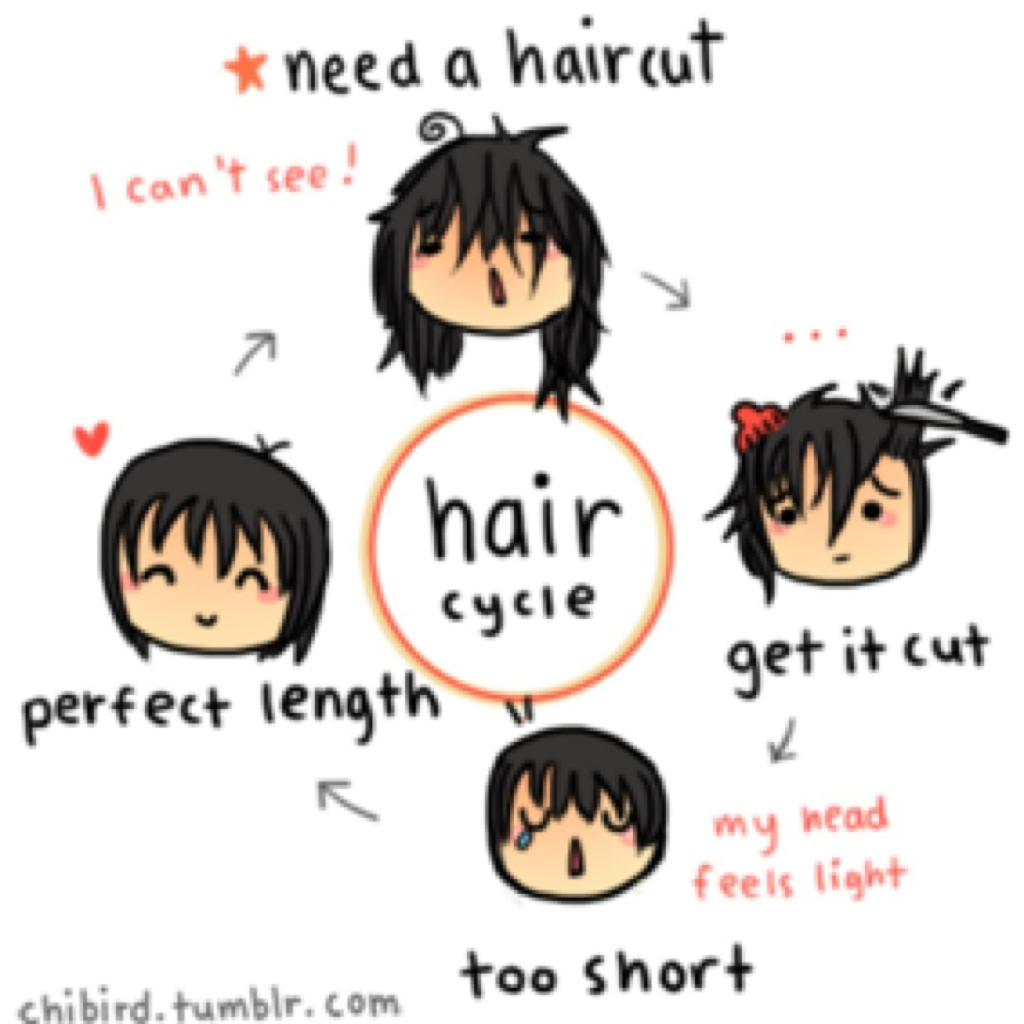 -why is this a very accurate cycle of cutting your hair haha 😅 I've never cut my hair short & I feel like that's weird..😁💙 I've also never had a bad haircut. wow 💇🙅😊