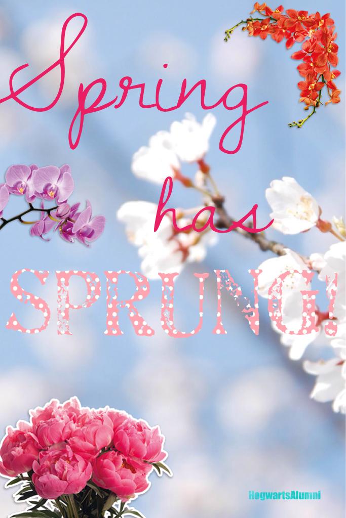 🌺🌸Happy Spring Everyone!🌸🌺