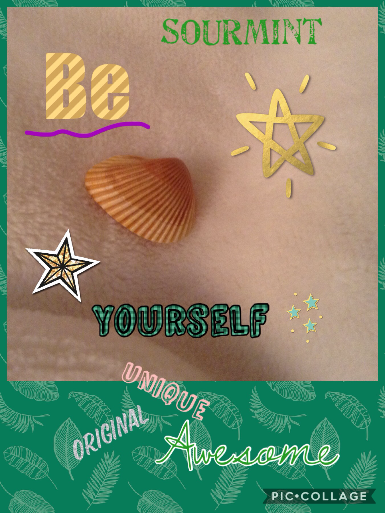 Thanks for reading this collage! Remember to be yourself!!!!