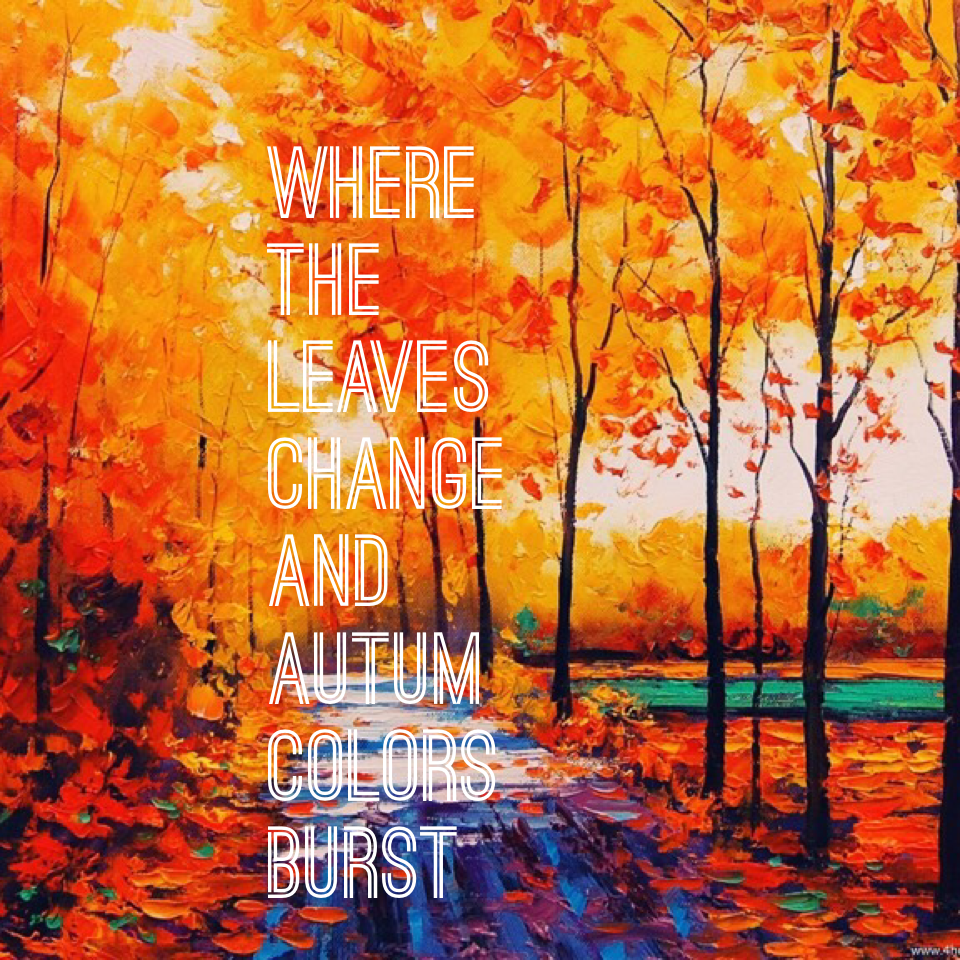 Where the leaves change and autum colors burst 
