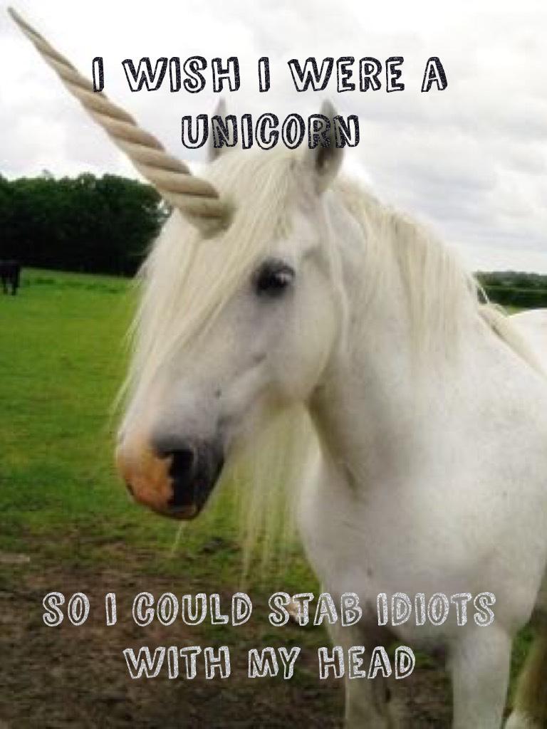 i wish i were a unicorn 