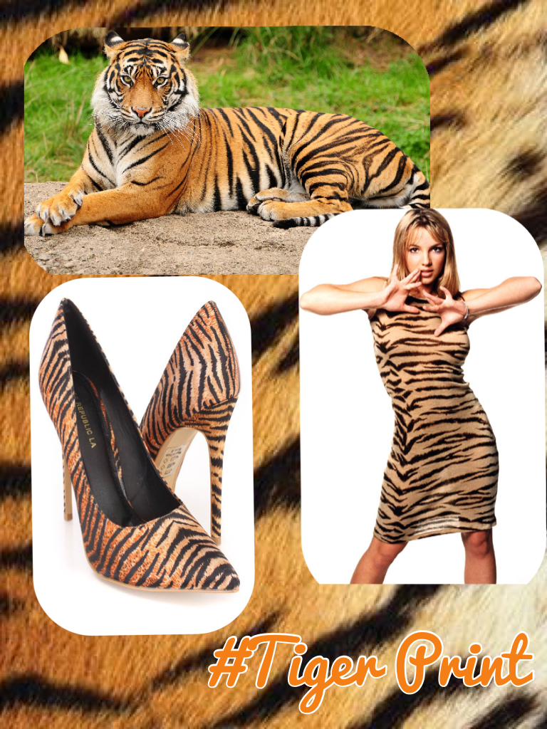 #Tiger Print