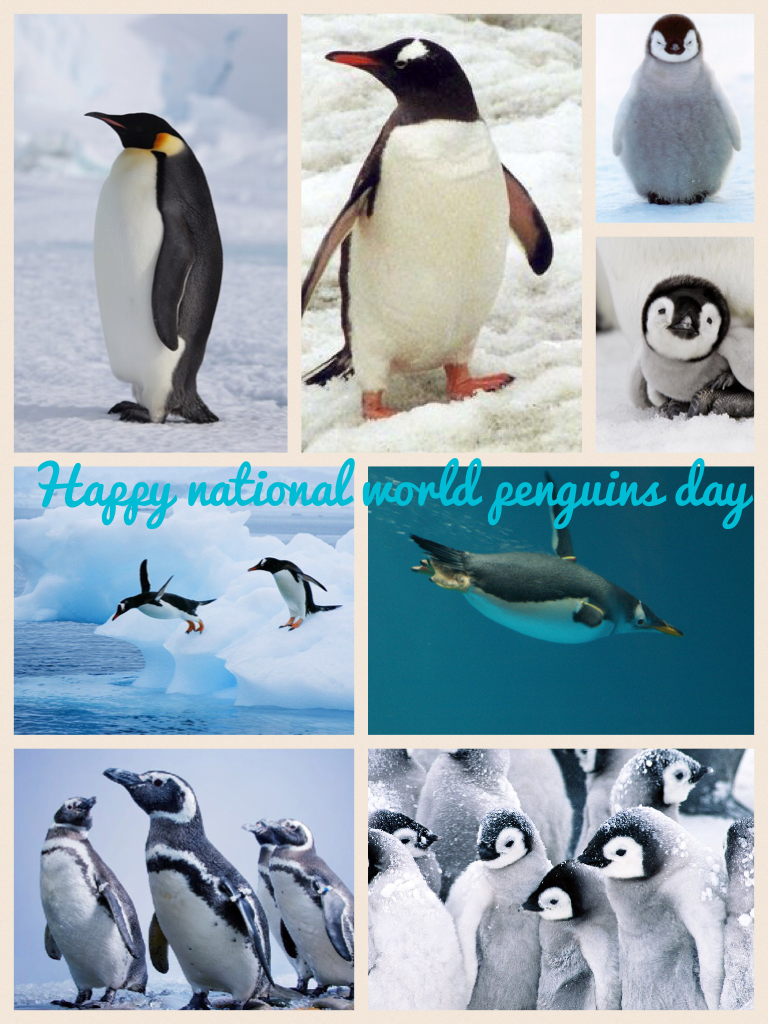 Happy national world penguins day