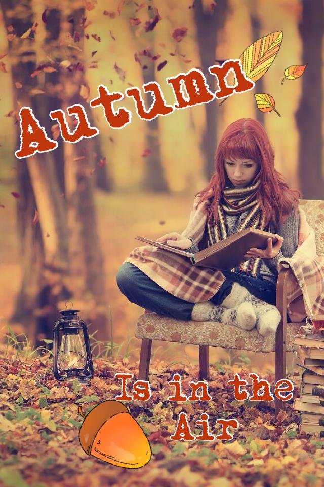 Autumn is int the air🍂🍁
