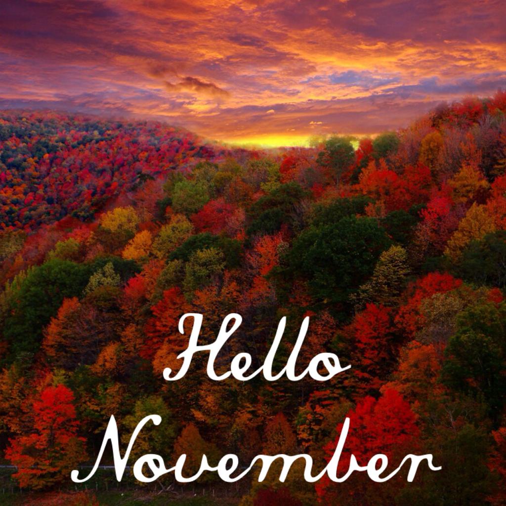 Hello November 
