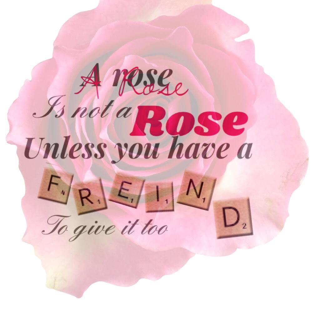 💐tappy💐
I have wanted to do this since I found the rose but I never knew how but was insured by one of my old collages. Shoutout to -redroses- go follow her she is lovely and has great collages not many followers tho so go follow her💐✌️😇