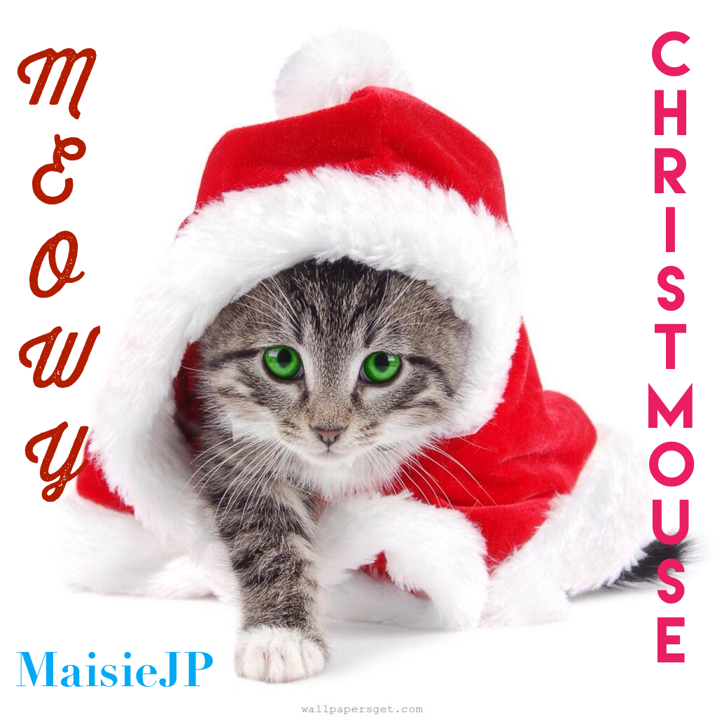Meowy christmouse!!! 16 more days!!!