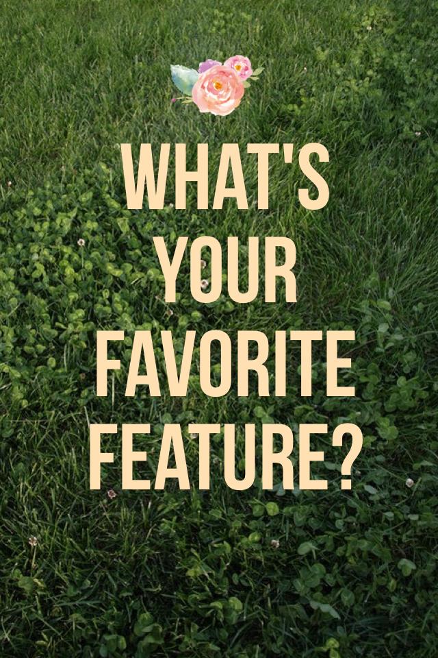 What's your favorite feature?