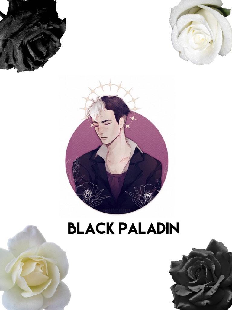 Black Paladin