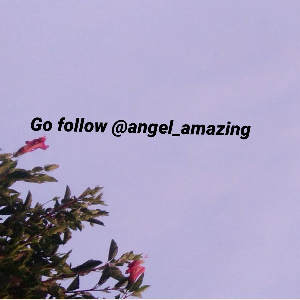 Go follow @angel_amazing