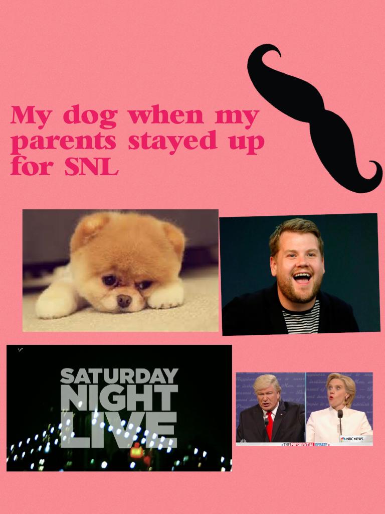 My dog when my parents stayed up for SNL