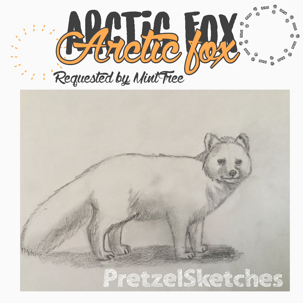 Click! 
I drew an arctic fox requested by MintTree