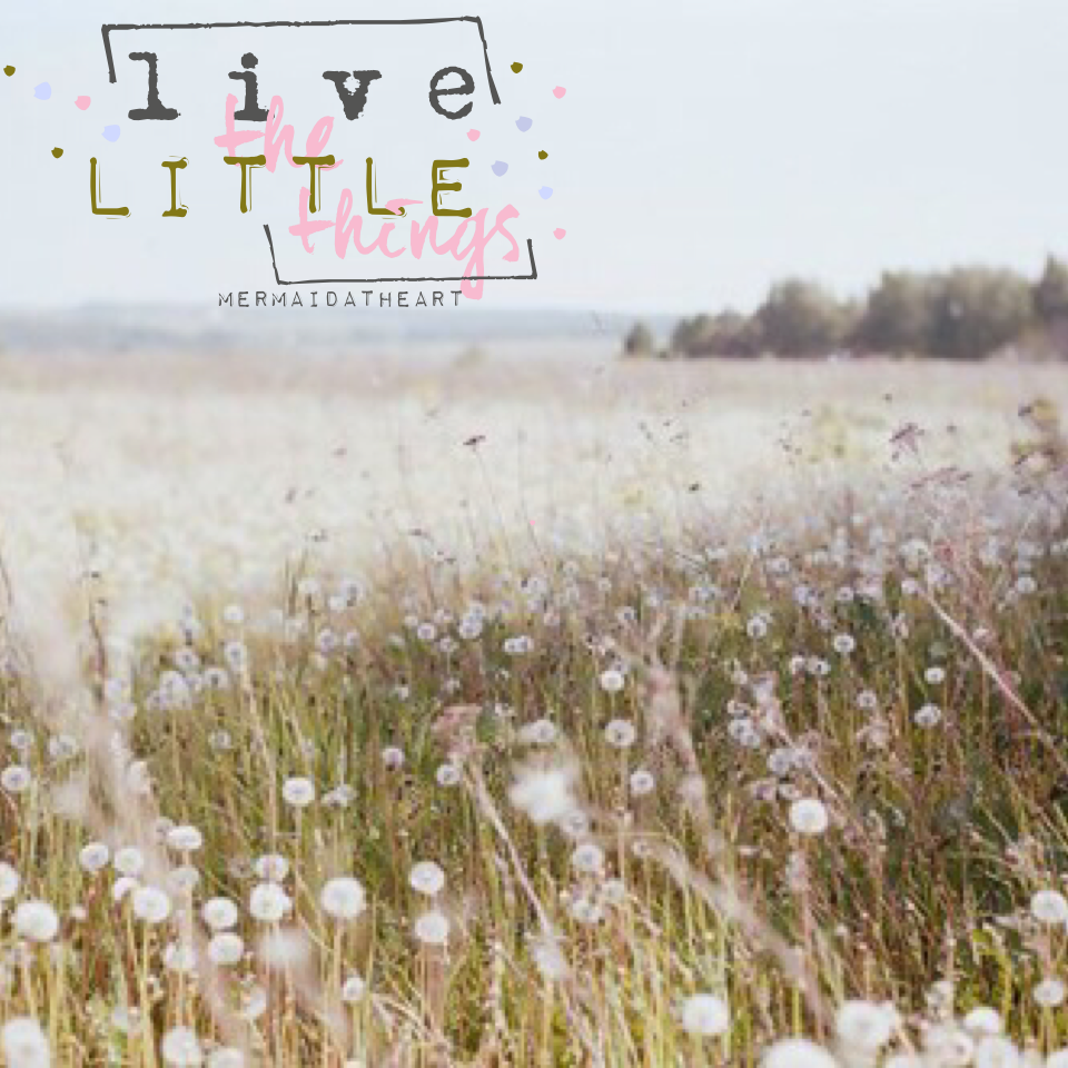 🌿live the little things🌿

Hello! I love this quote!!😊

-MermaidAtHeart 