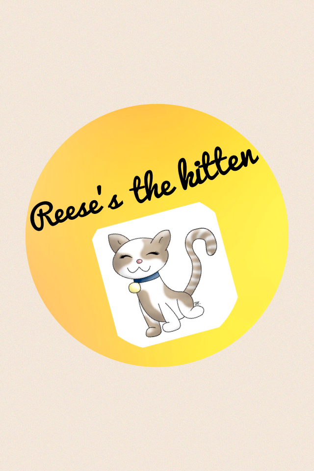 Reese's the kitten