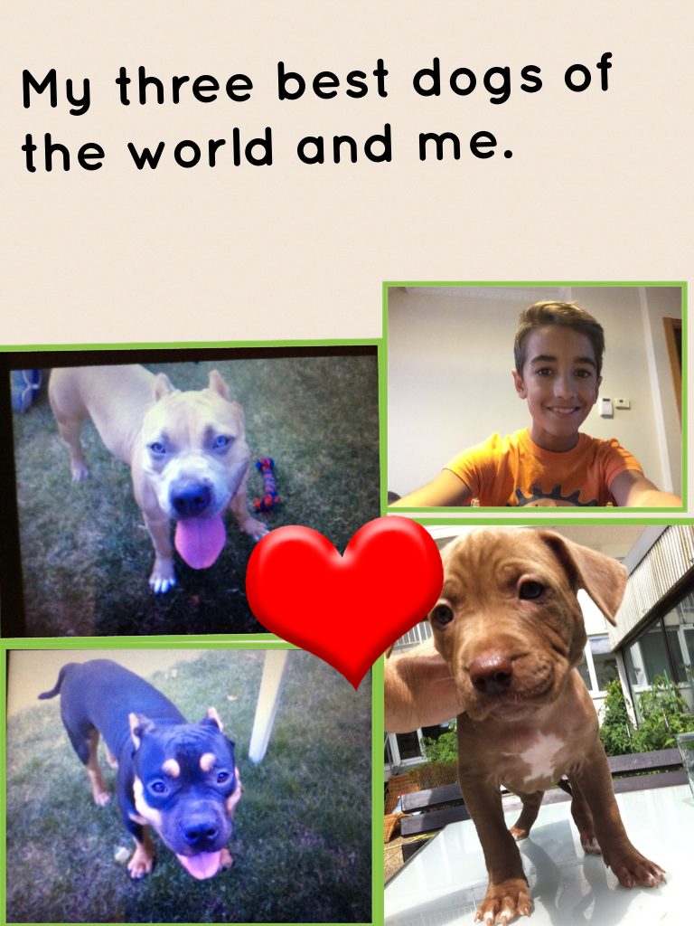 My three best dogs of the world and me.
