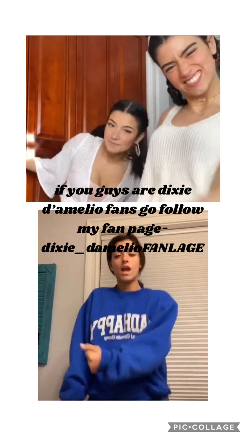 go follow dixie_damelioFANPAGE