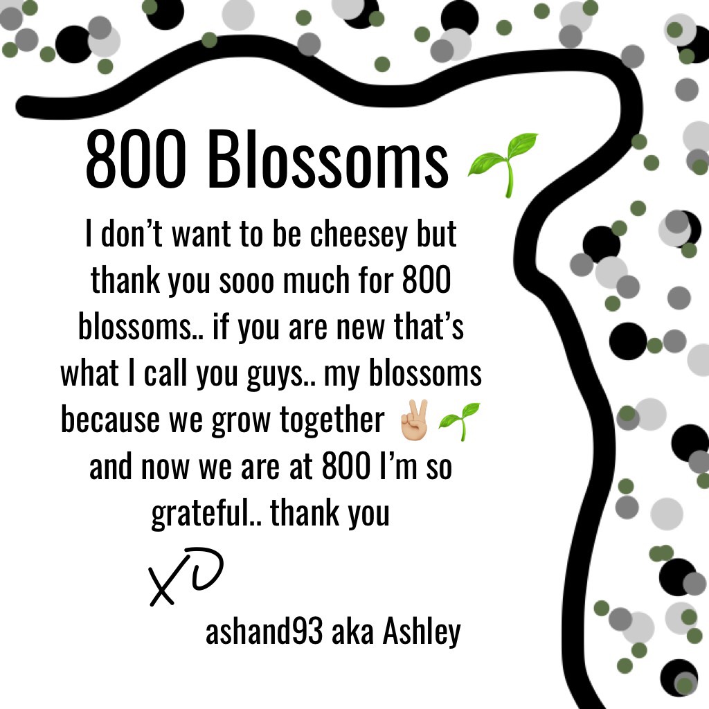 800 Blossoms 🌱
woah.. I’m so speechless. I’m truly honestly happy and grateful and over the moon happy that 800+ blossoms are here.. to 800 more 🌱💕✌🏼