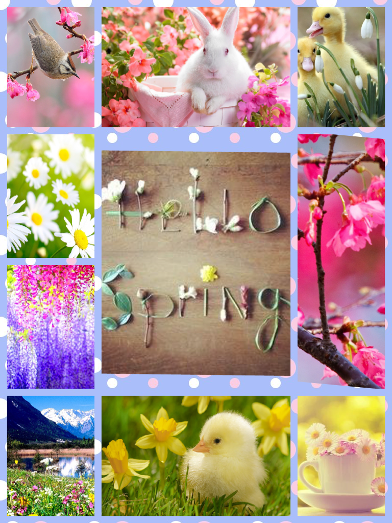 It's Spring Time!