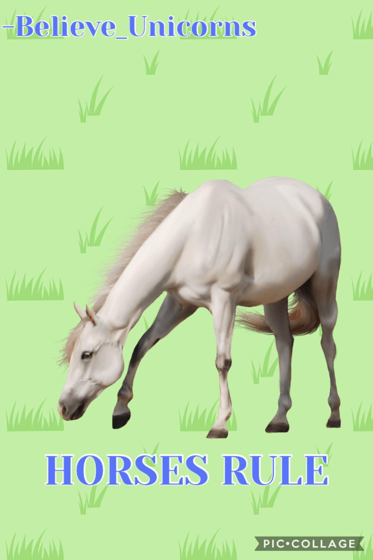 HORSES RULE made by Believe_Unicorns
