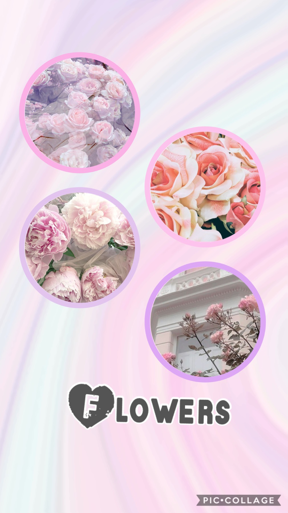 #pastel
#flowers 
#pinkpurpleblue 