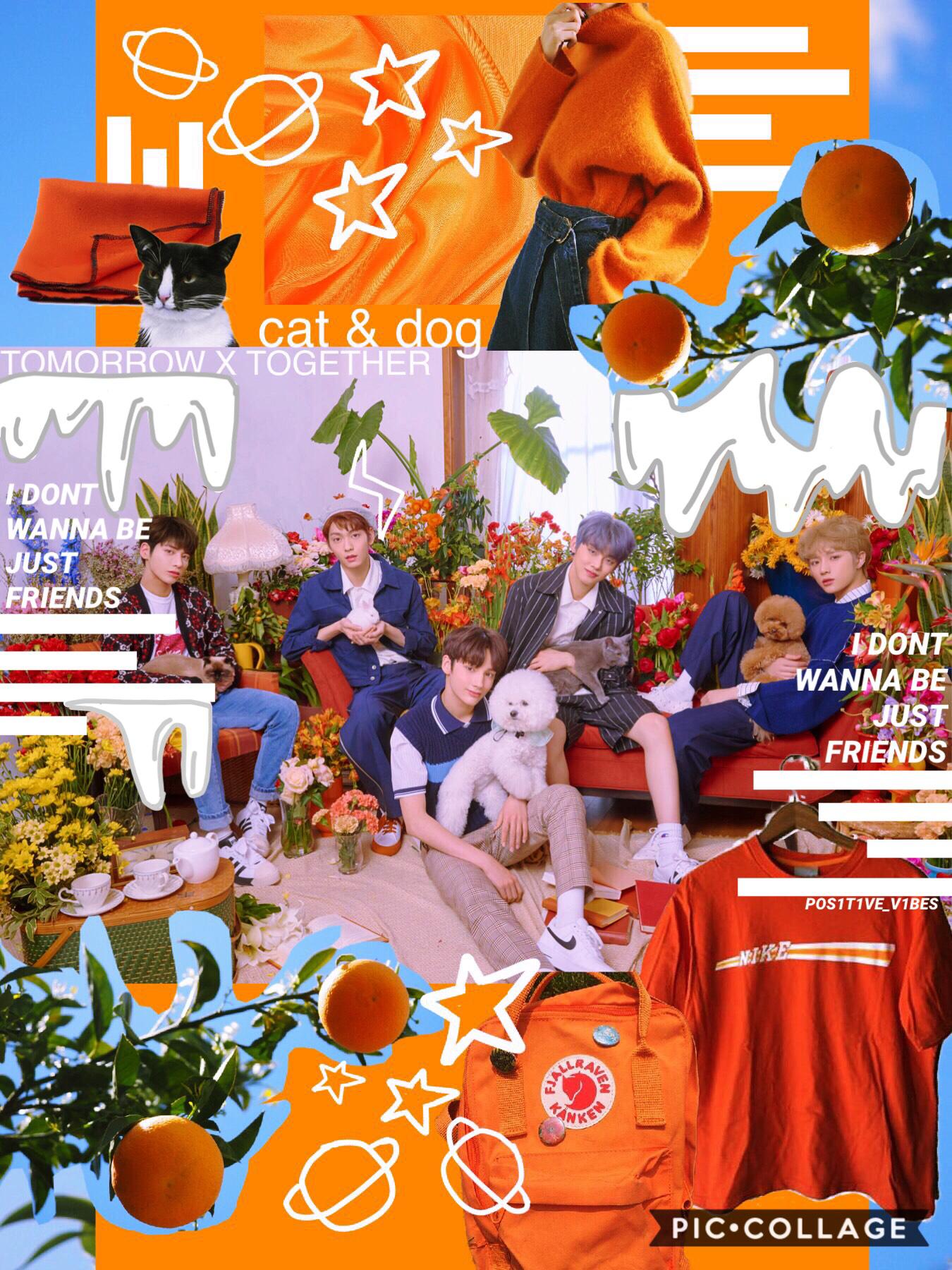 🍊inspired by @trashylove ~ go check their acc out!! their acc is droP DEAD GORGEOUS🍊Heading to Philadelphia this week🍊a edit for txt’s song “cat & dog” which recently came out & i’M iN lovE🍊BTS & Halsey did amazing at the BBMAS!!🍊
#PCONLY
#PHILADELPHIA
#O