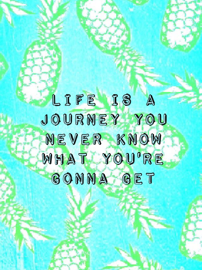 Life is a journey you never know what you're gonna get