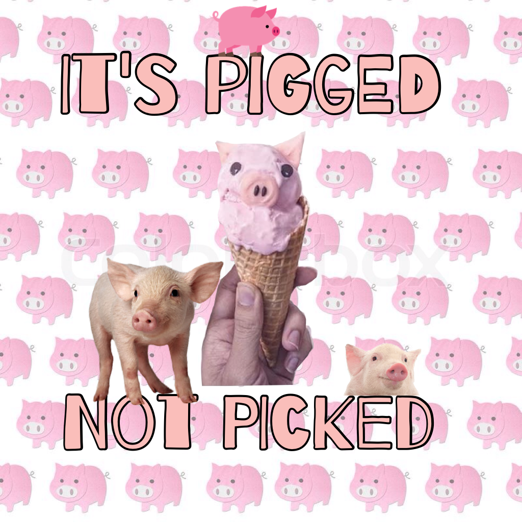 It's pigged not picked
