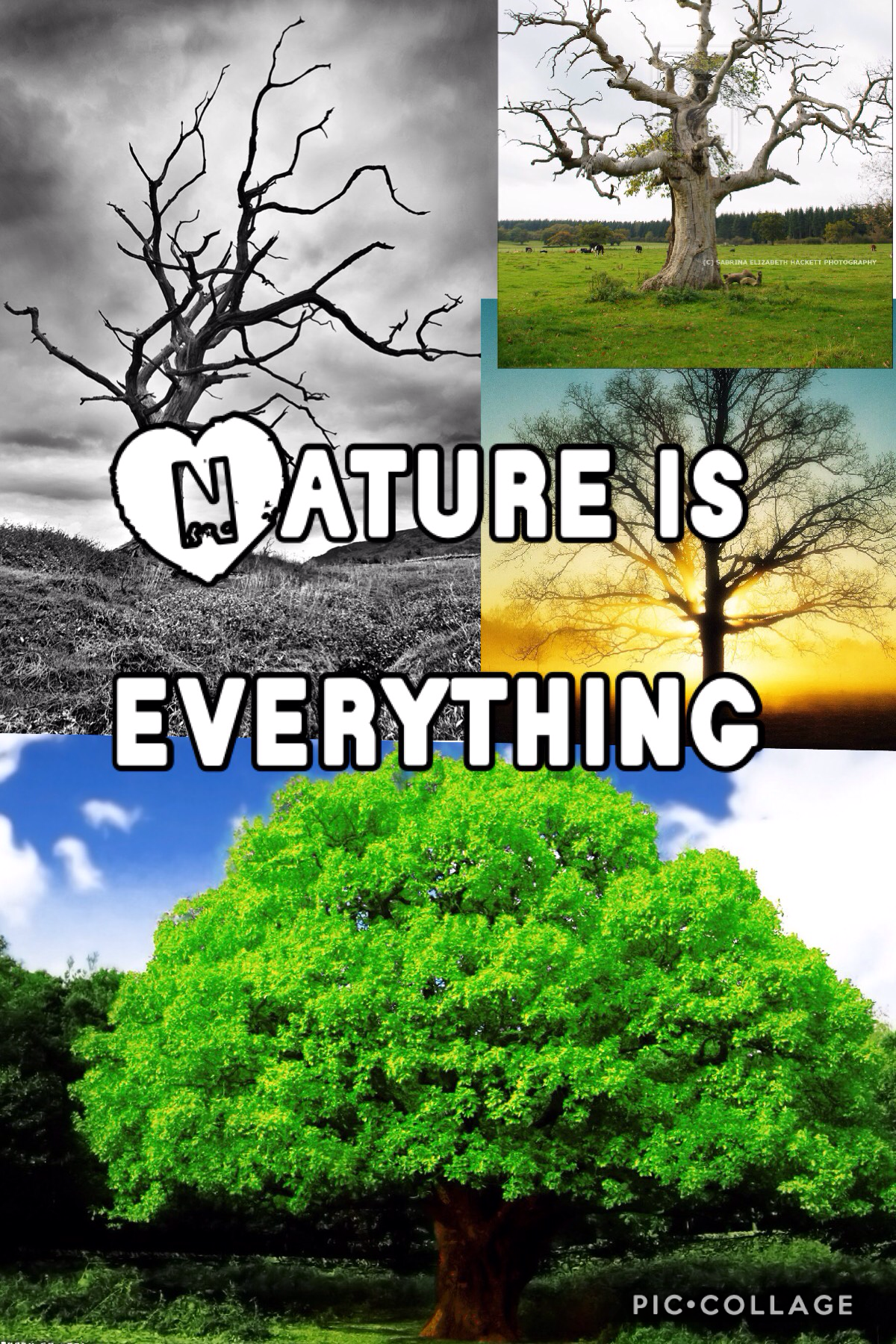 Nature is everything