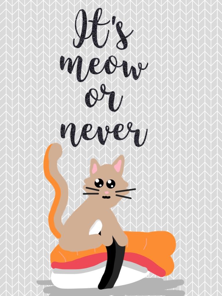 It's meow or never (=^ェ^=)