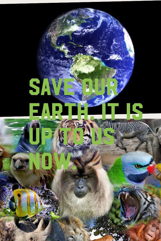 Save our earth. It is up to us now. 
#protectandpreserve
