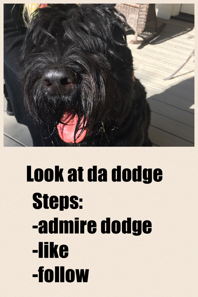 Steps:
-admire dodge
-like
-follow