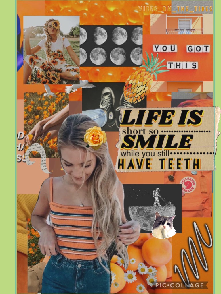 Collage by LocalHamiltrash