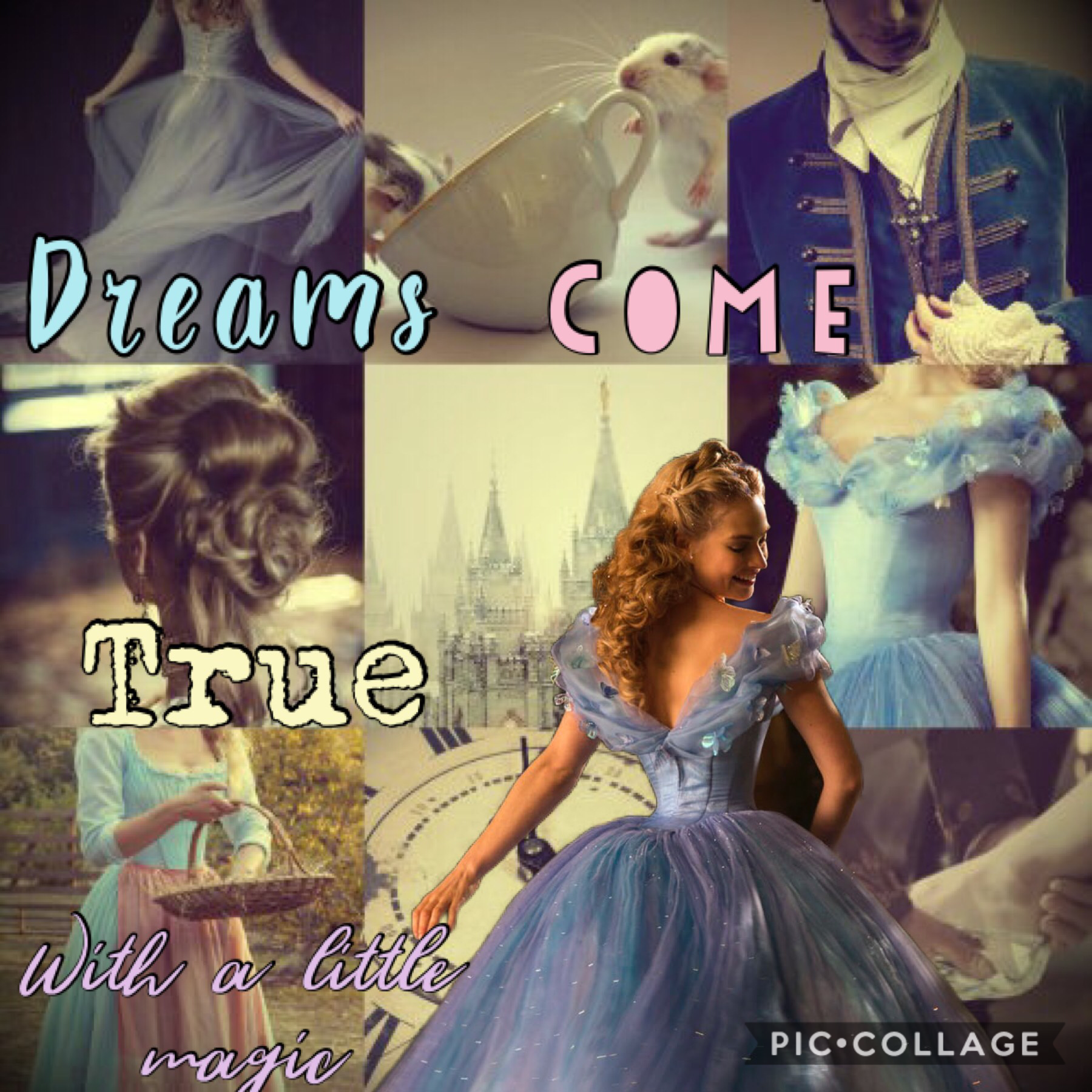 Cinderella collage 