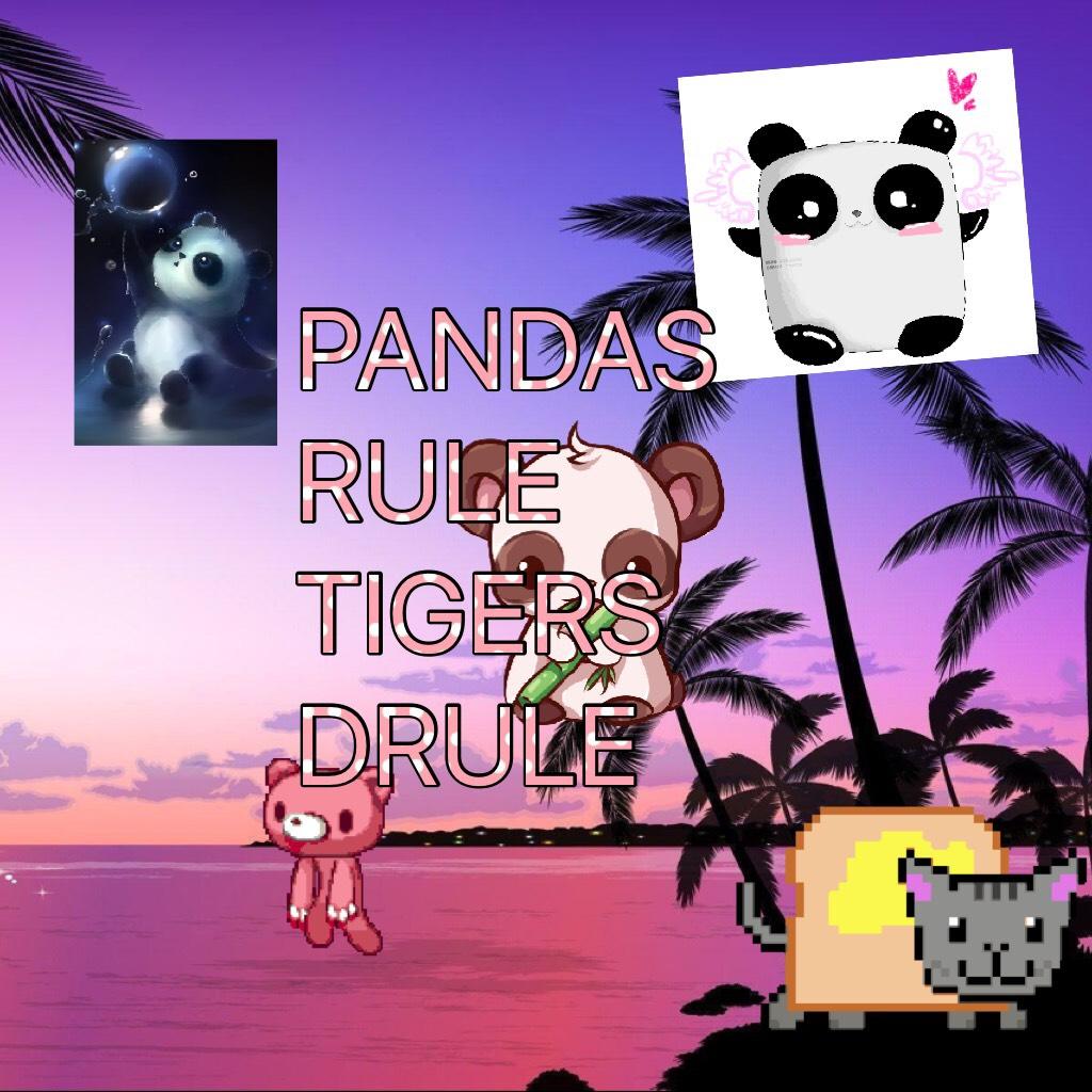 PANDAS RULE TIGERS DRULE