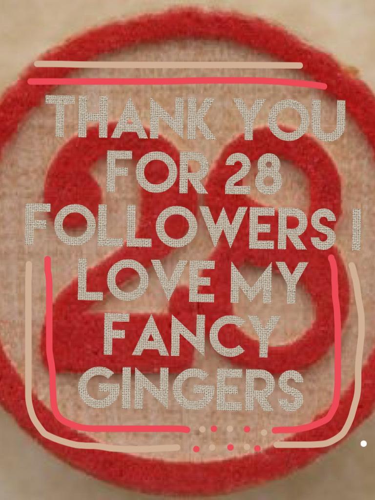 Thank you for 28 followers I love my Fancy Gingers 