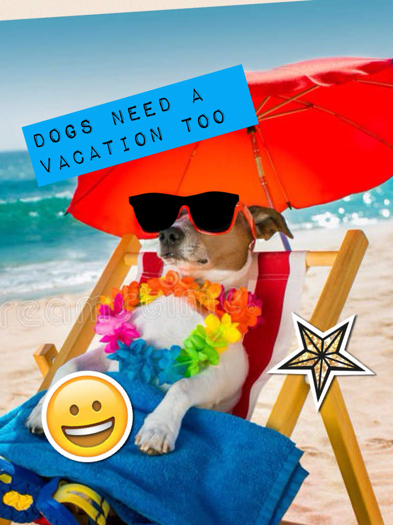 Dogs need a vacation too not just humans 