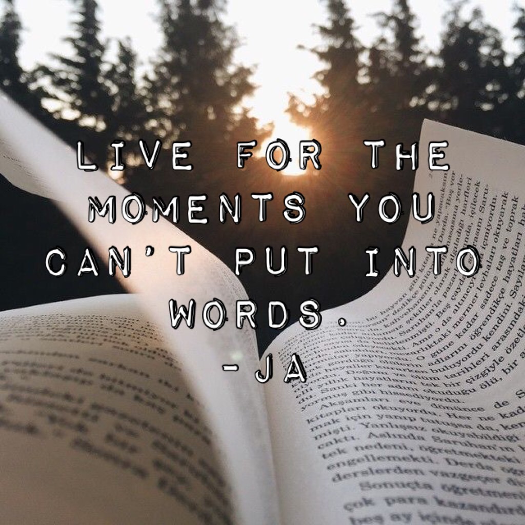 Live for the moments you can’t put into words.
-JA 