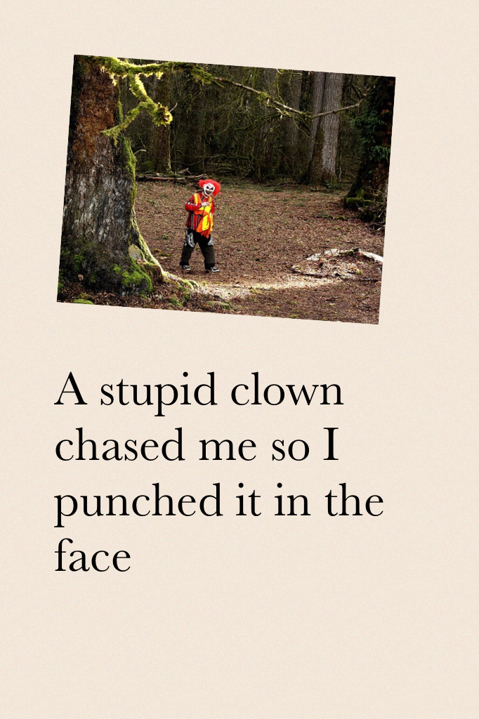 A stupid clown chased me so I punched it in the face
