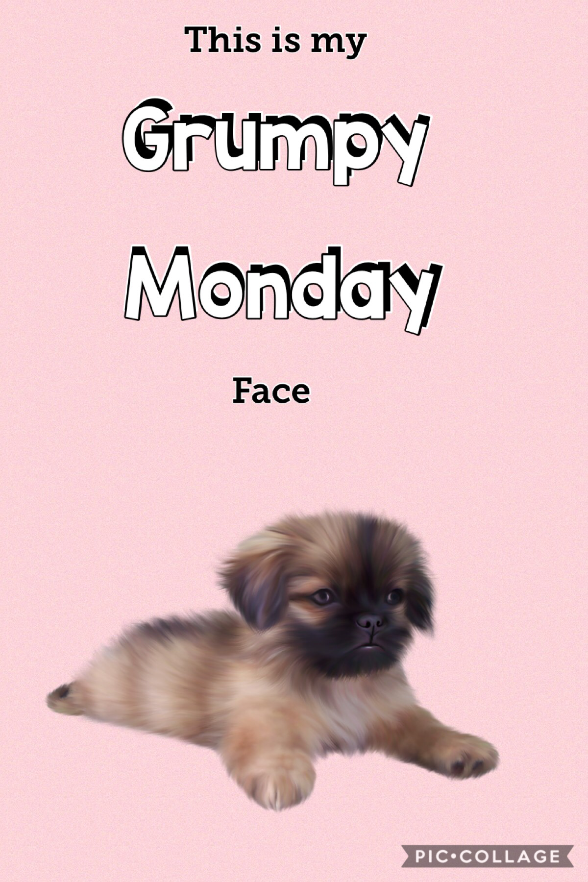 My grumpy Monday face 
