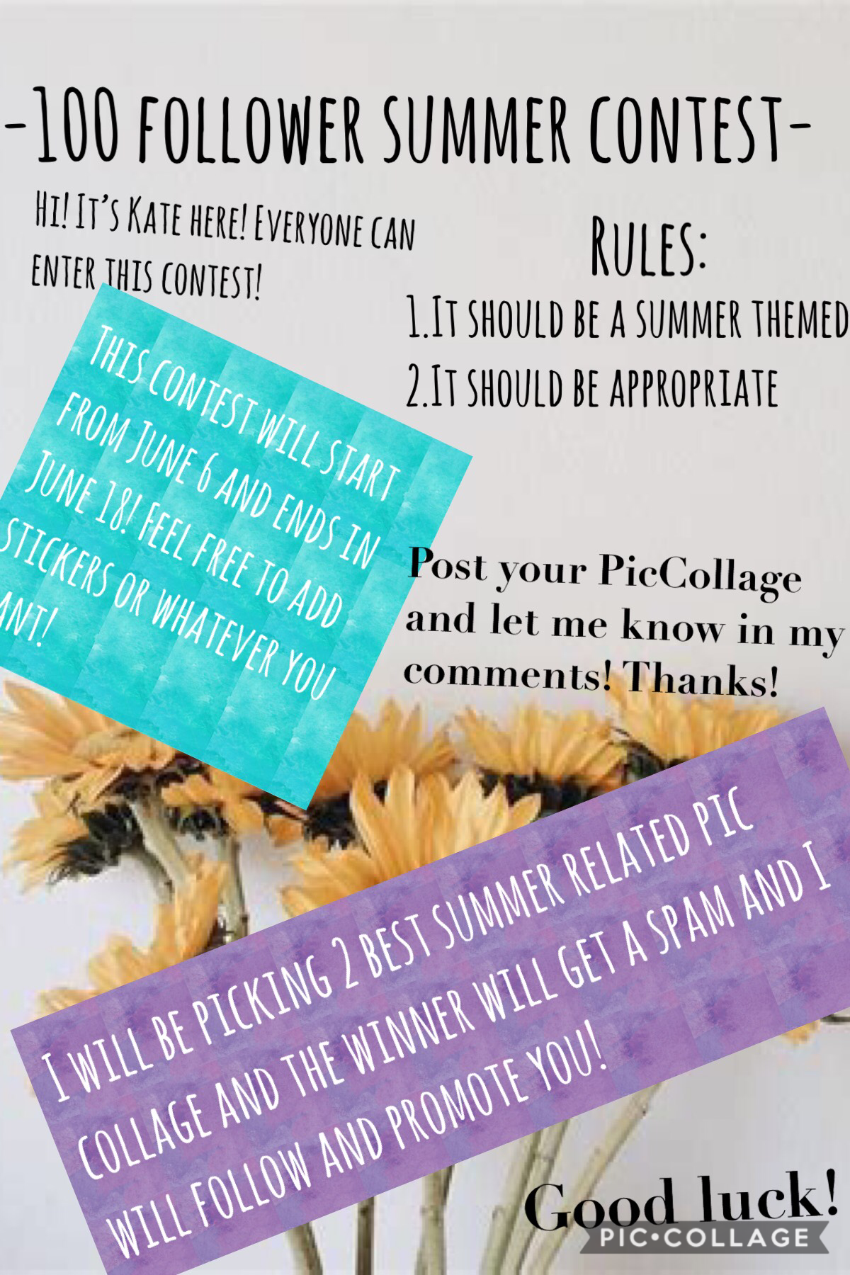 -100 followers summer contest- ((EVERYONE CAN ENTER))

Rule
1. It should be appropriate 
2. It should be summer themed

After making the PicCollage, make it in the remix sections or post it on your pic collage and let me know on the comments!

Feel free a