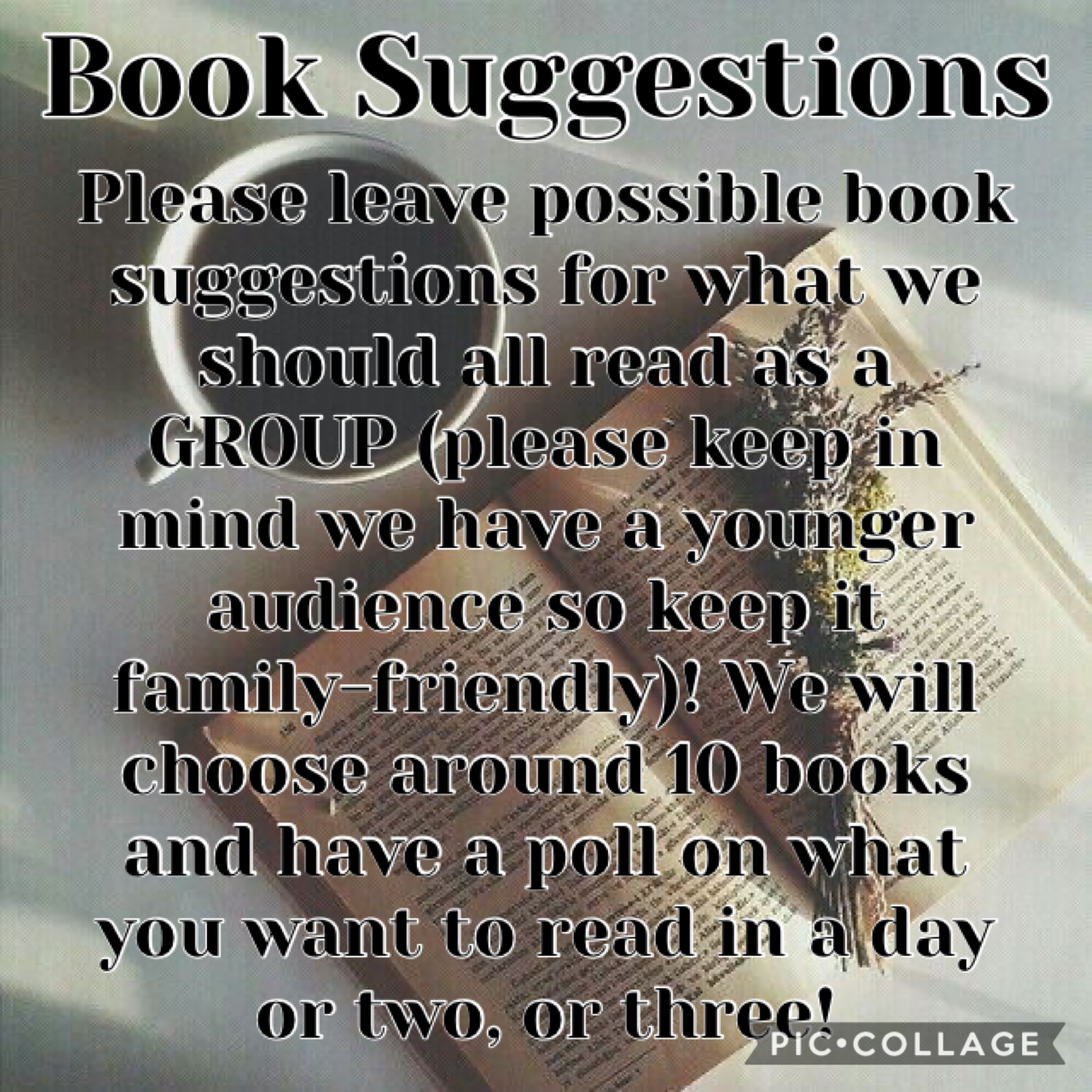 What books should we read? Keep it family friendly! Please a chapter book. :) 