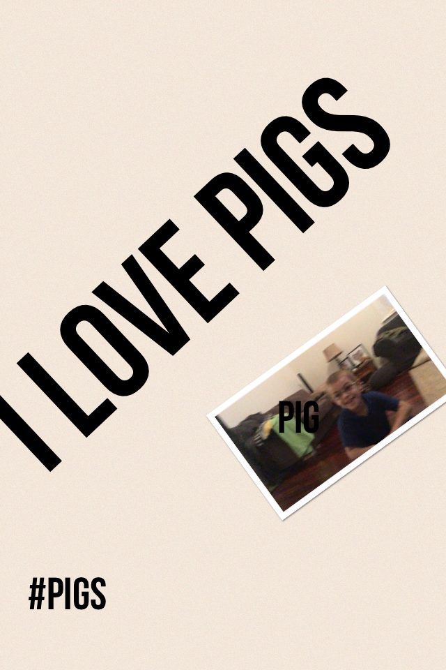 I LOVE PIGS 