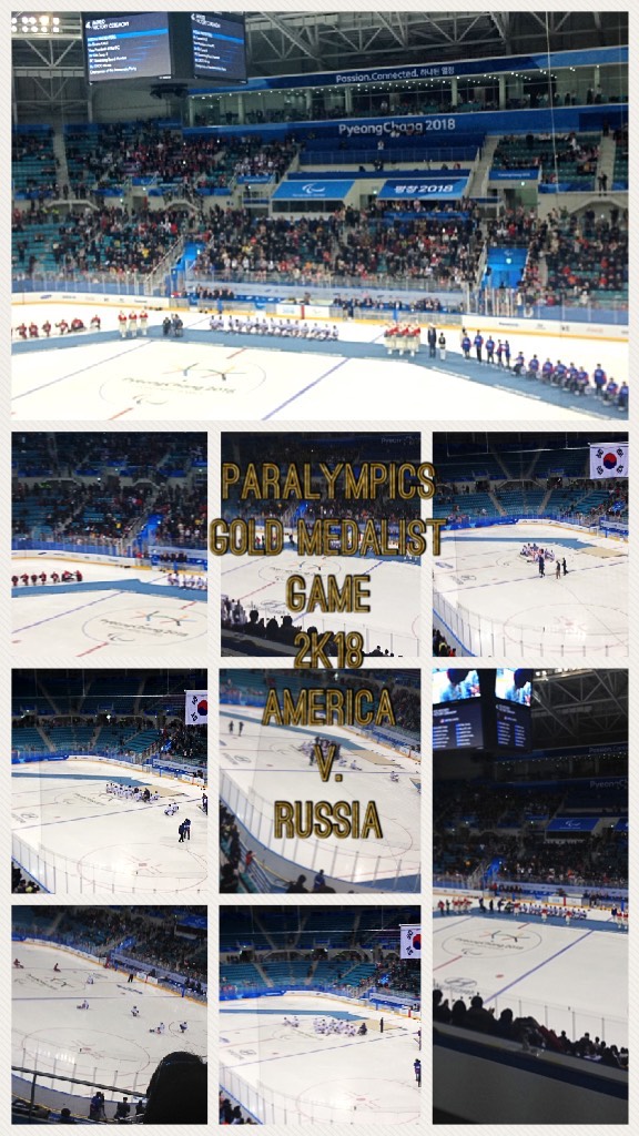 Paralympics 
Gold Medalist Game
